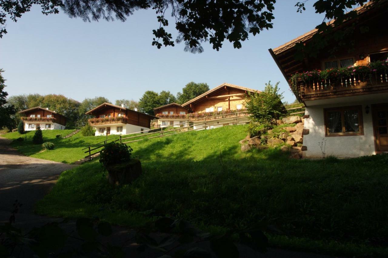 Blockhaus-Ferienpark Eisenschmitt Kültér fotó